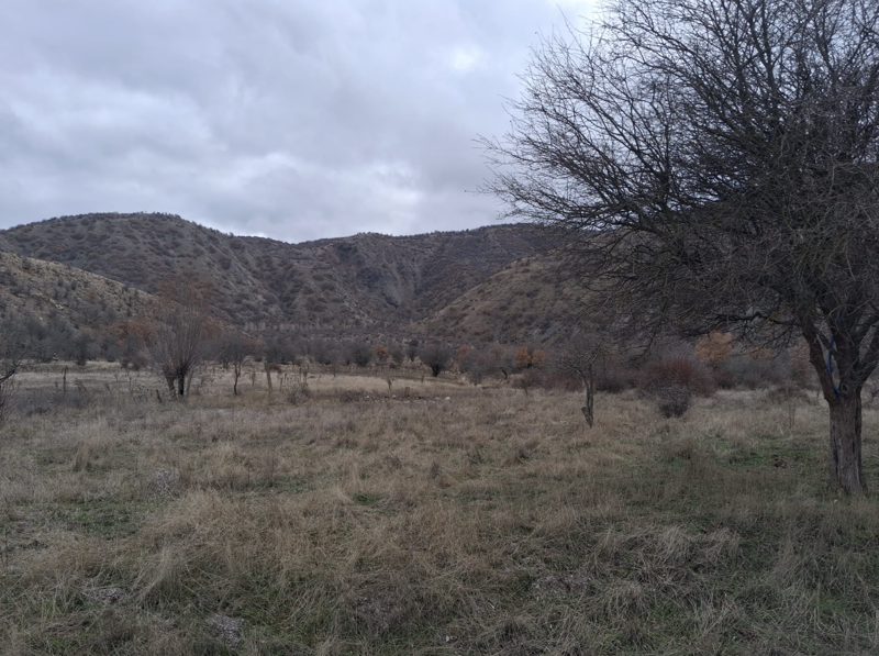 ÇANKIRI ILGAZ'DA 677 M2 SATILIK HİSSELİ TARLA